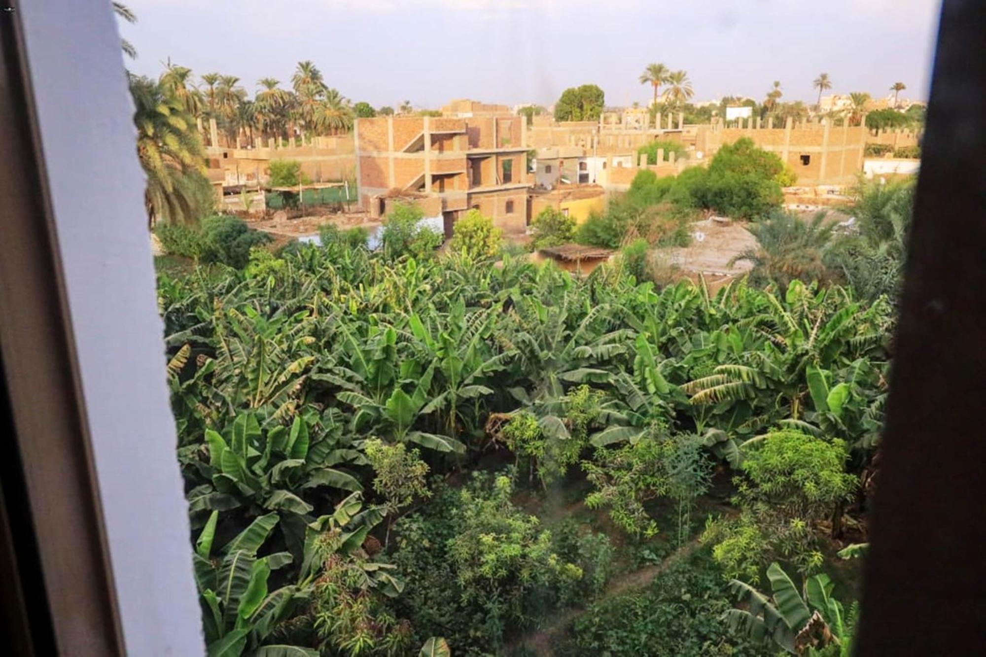 Luxor View Hostel エクステリア 写真