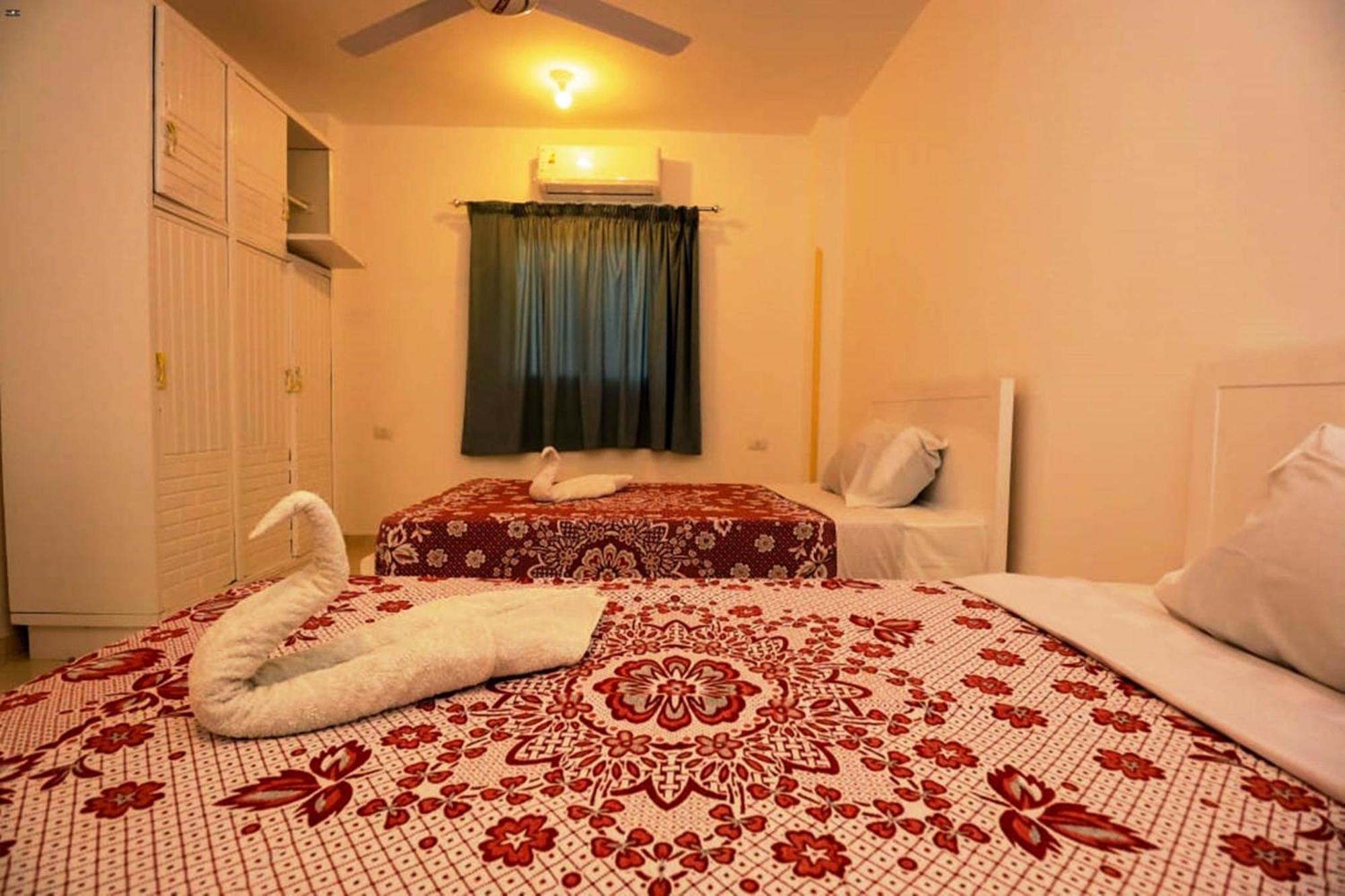 Luxor View Hostel エクステリア 写真