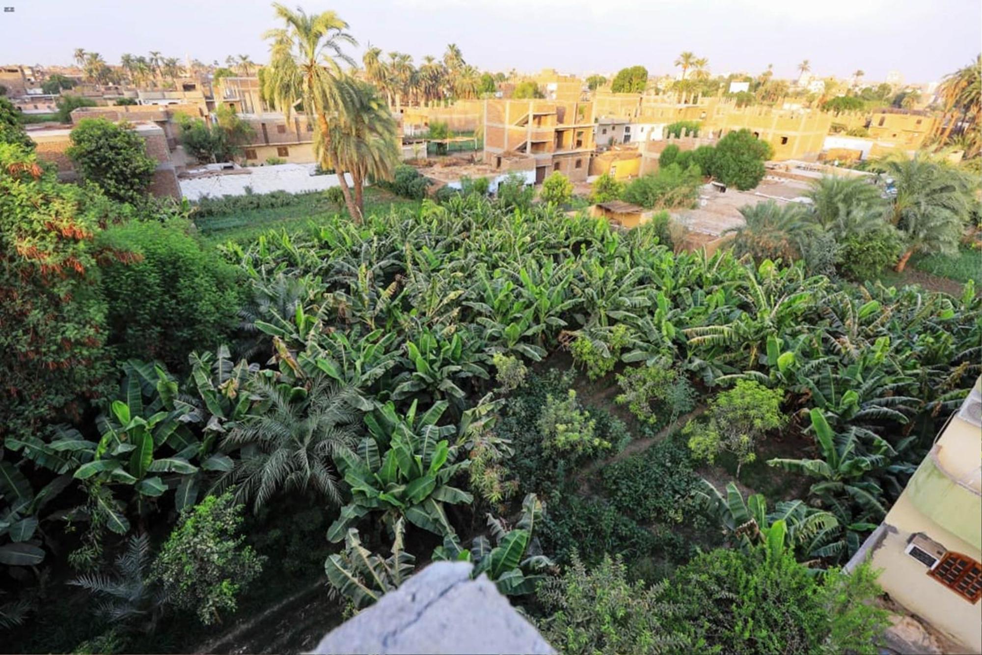 Luxor View Hostel エクステリア 写真