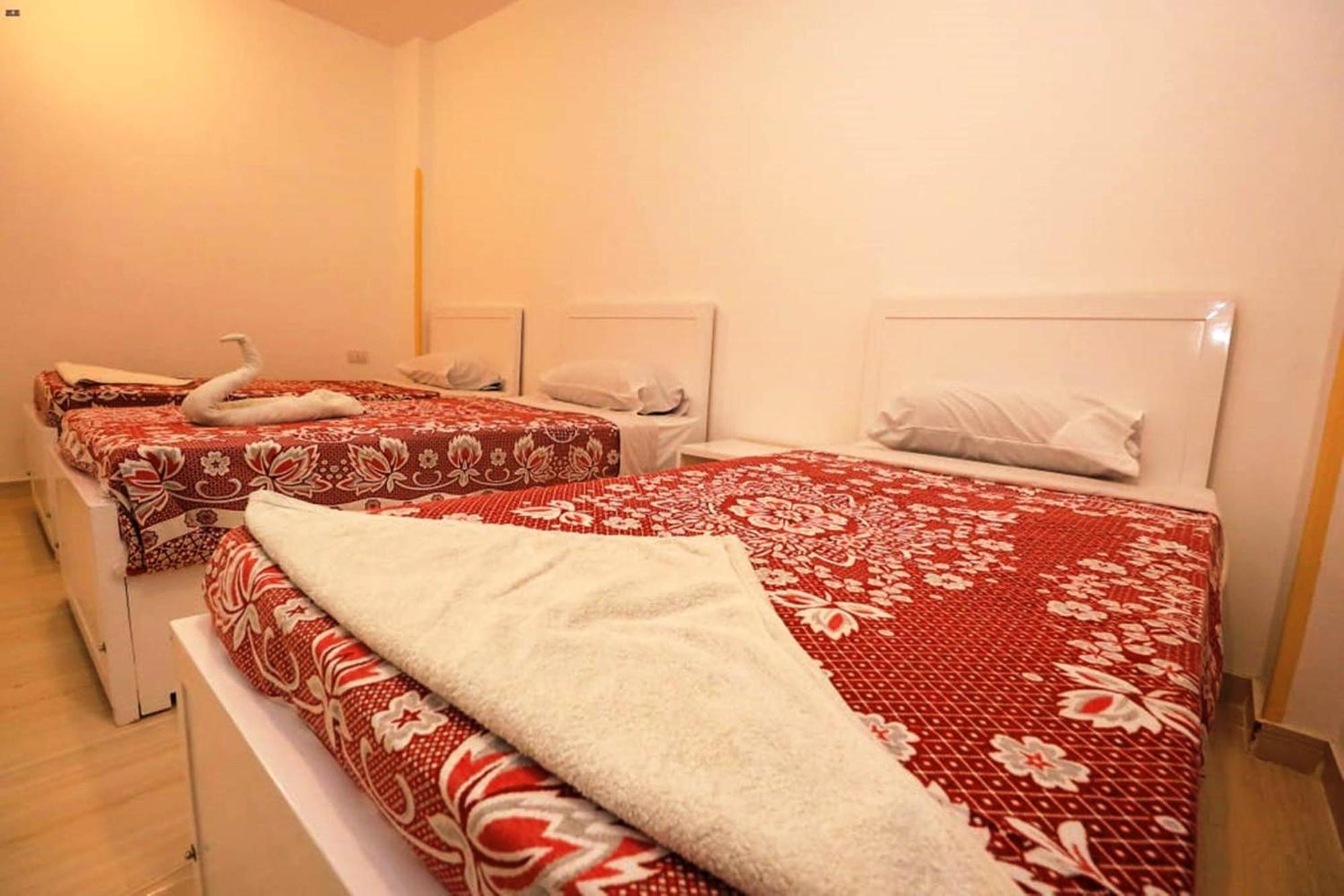 Luxor View Hostel エクステリア 写真