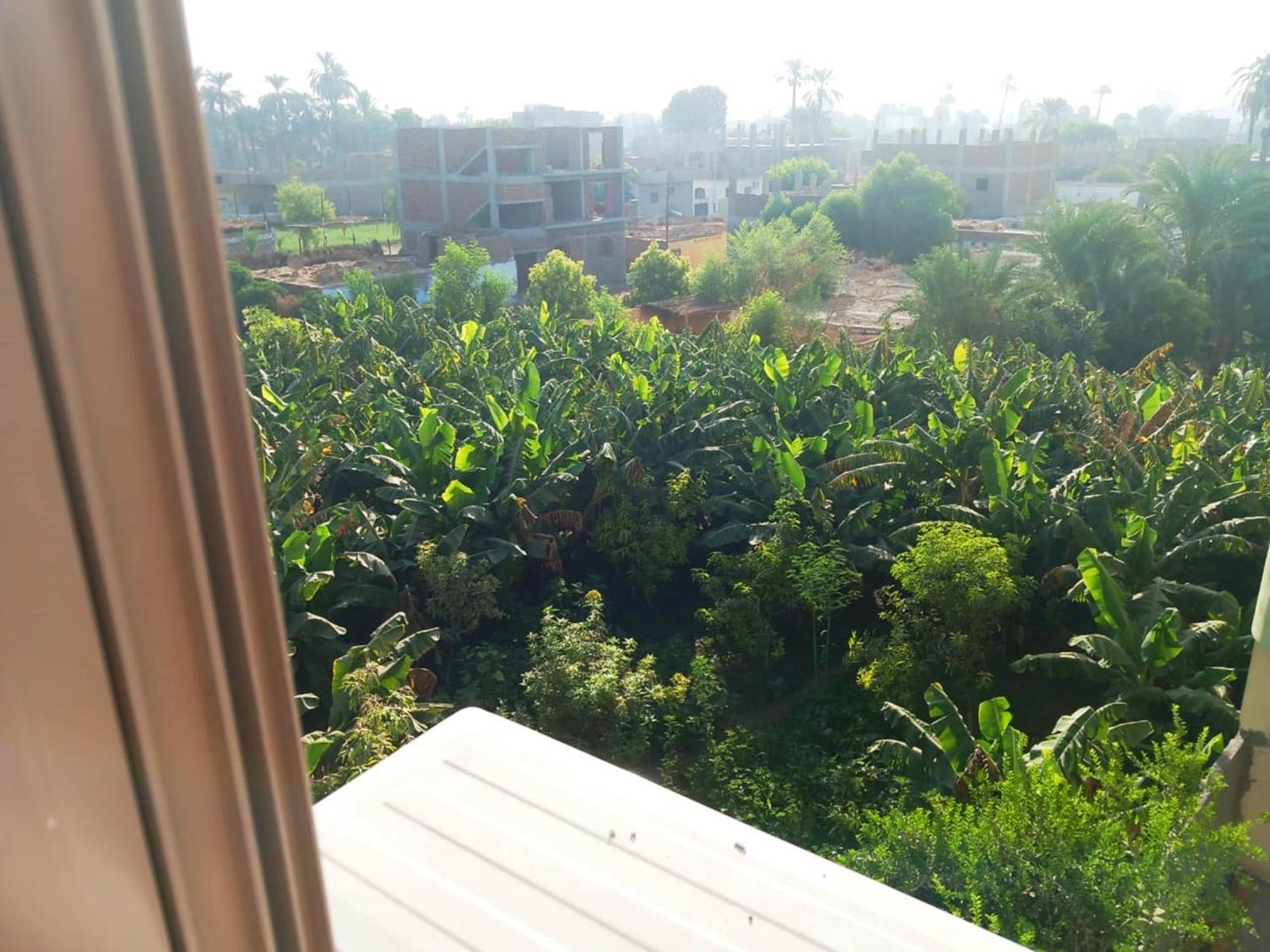 Luxor View Hostel エクステリア 写真