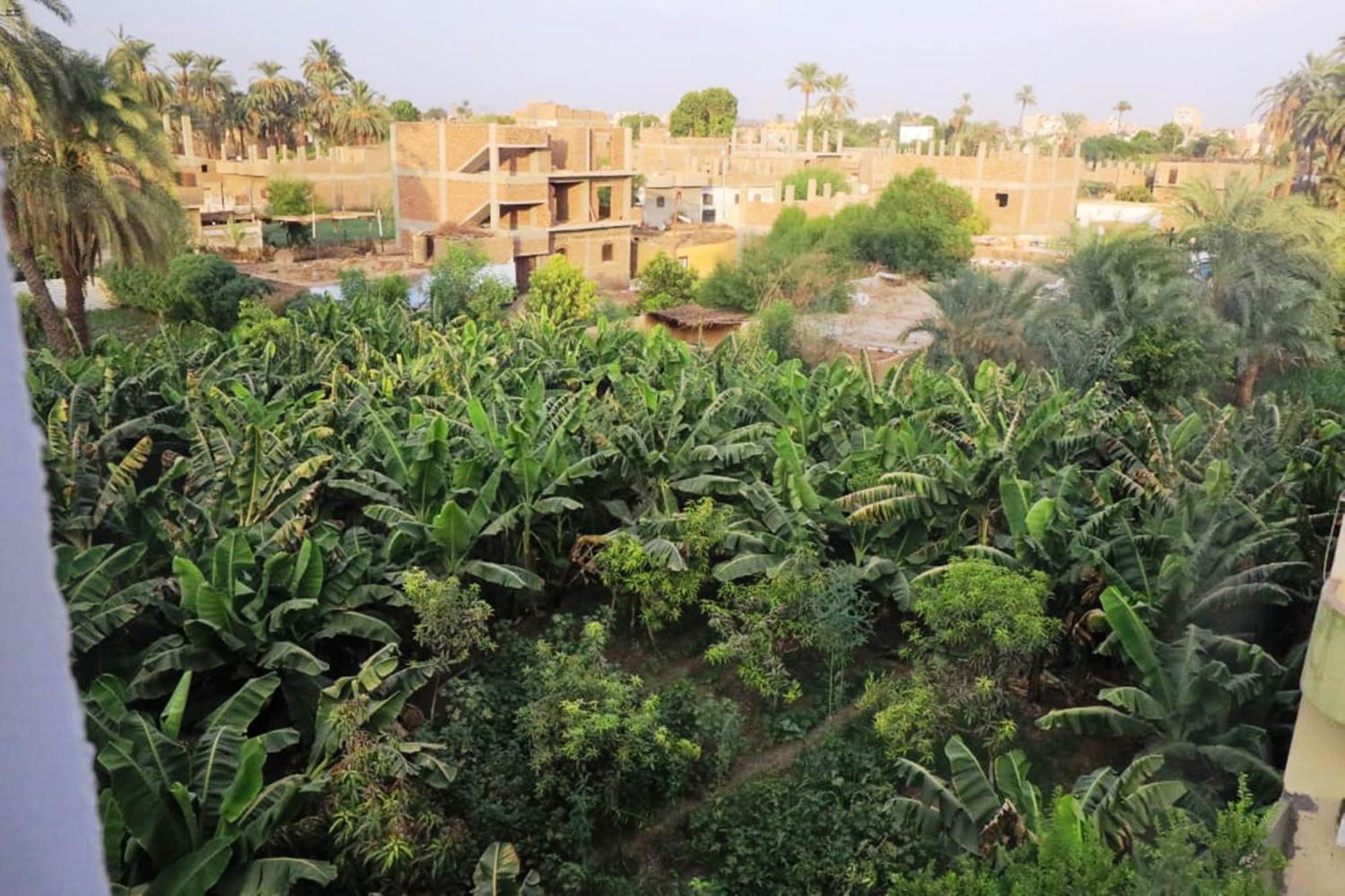 Luxor View Hostel エクステリア 写真